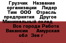 Грузчик › Название организации ­ Лидер Тим, ООО › Отрасль предприятия ­ Другое › Минимальный оклад ­ 16 000 - Все города Работа » Вакансии   . Амурская обл.,Зея г.